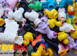 Discover the different LEGO® birds