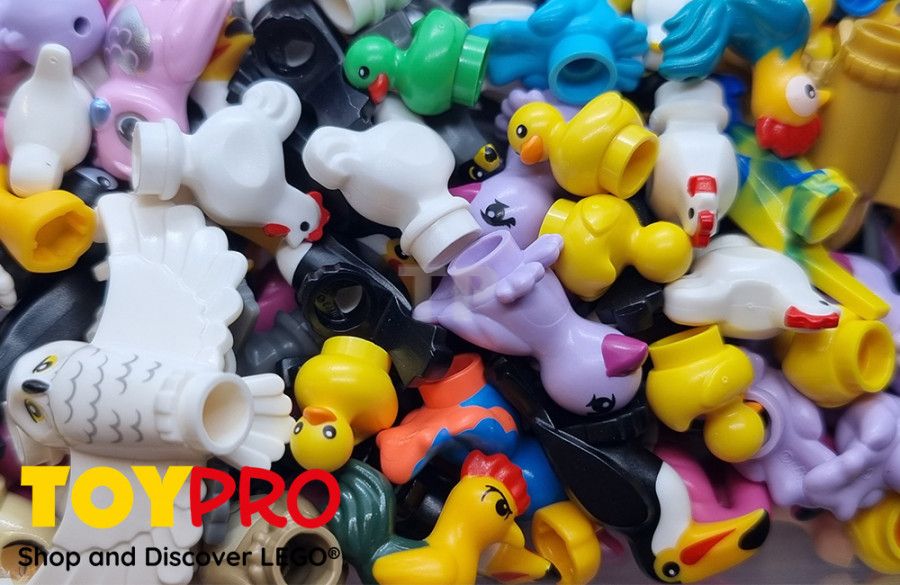 Discover the different LEGO® birds